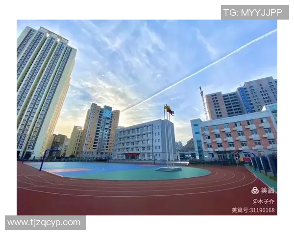 中国最大的体育培训公司如何引领行业发展与创新趋势